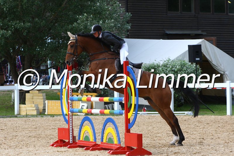 006M6785_Lakato_Springpferde L.JPG